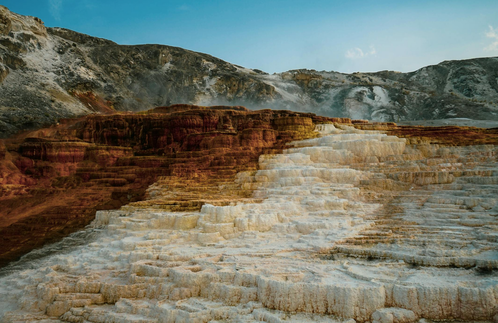 Hoe herken je een magnesiumtekort?