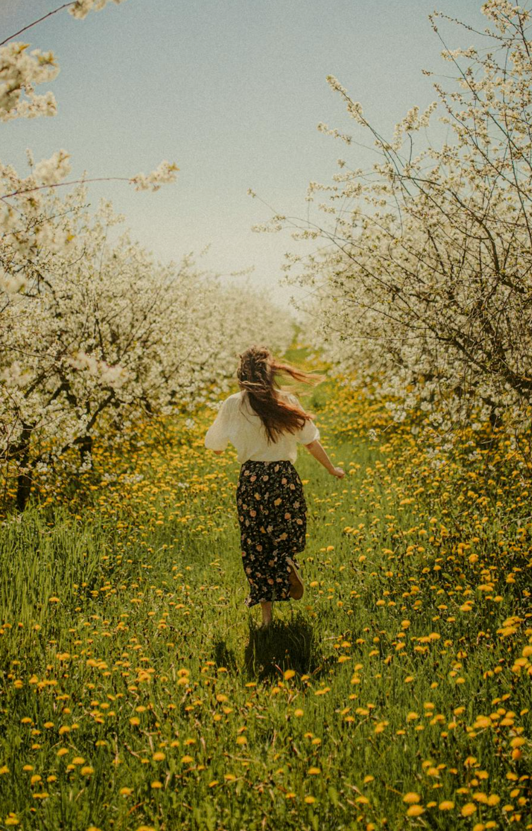 Vitamines voor je haar, alles wat je moet weten
